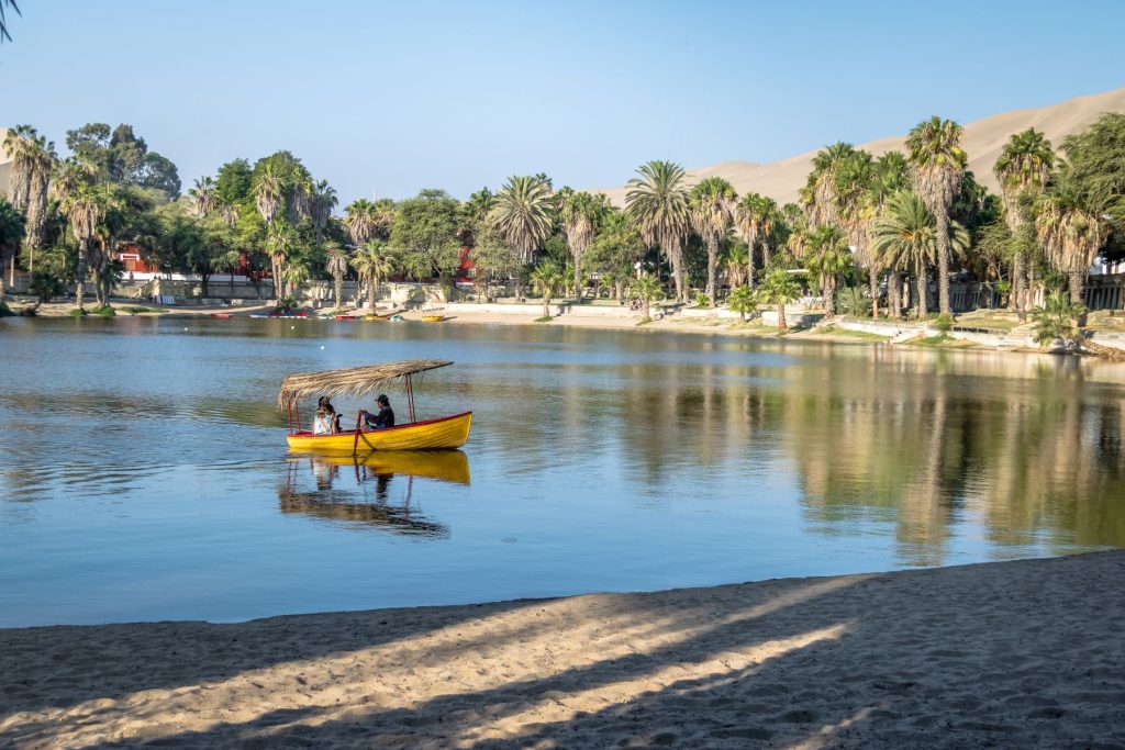 Al Ahsa Oasis: A Day Trip to the Green Heart of the Desert