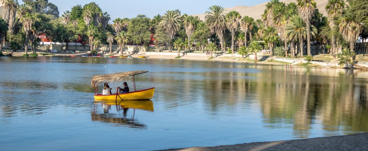 Al Ahsa Oasis: A Day Trip to the Green Heart of the Desert